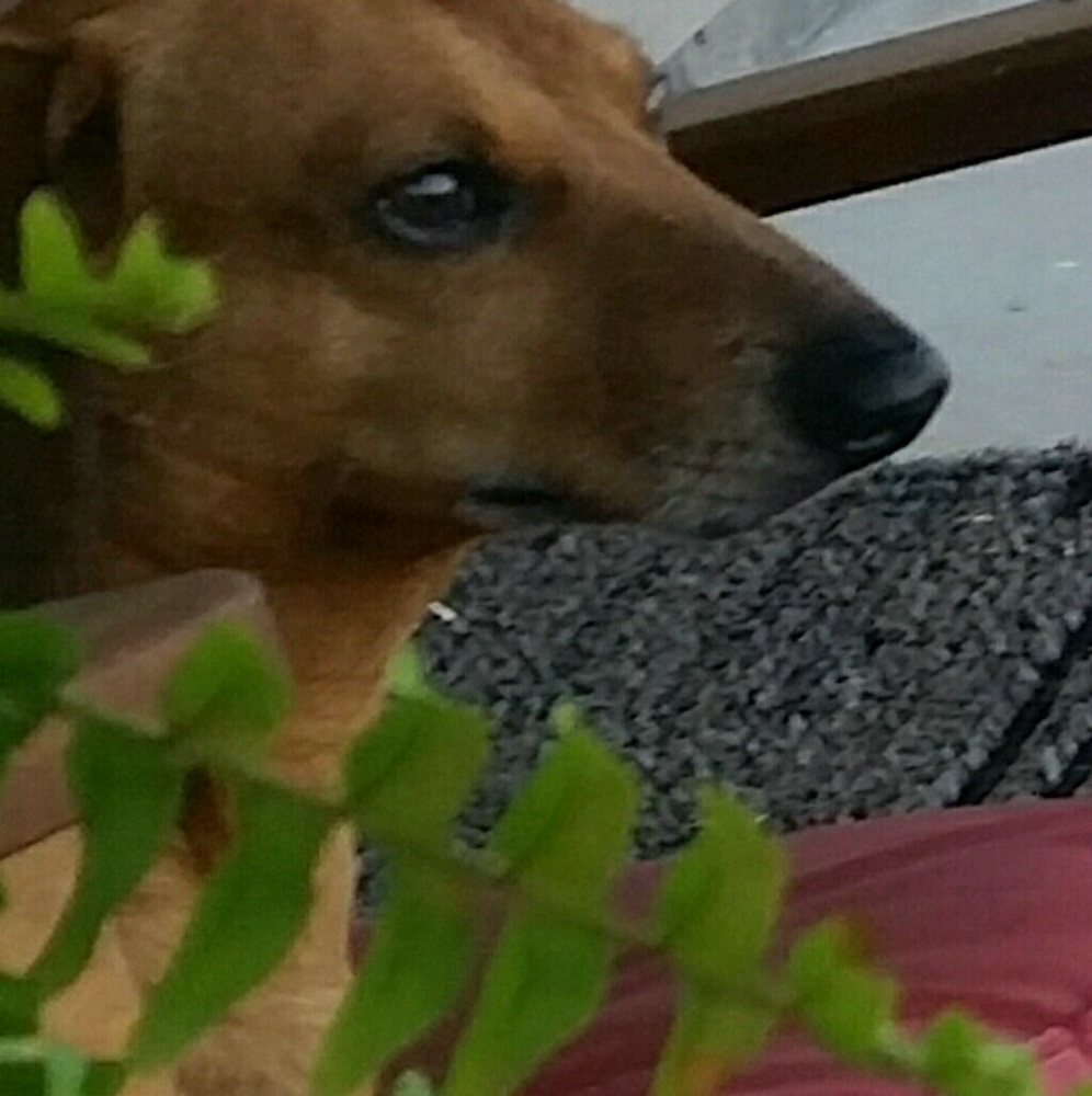 Meet your Posher, Denise